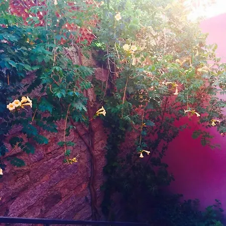 Gg Luxury - Vakantiehuis